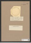 Stictodiscus anceps Castr. (de-Toni-Nr.: Genus 205, Species 5234) Zeichnungen Sammlung Grunow Nr. 9030 (NHMW-BOT-W0378749)
